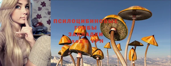 молекула духа Краснотурьинск
