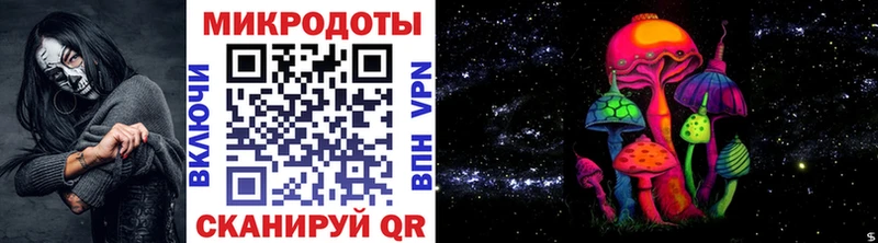 Псилоцибиновые грибы Psilocybe Дудинка