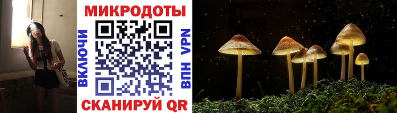 Купить  Дудинка  Галлюциногенные грибы мухоморы 
